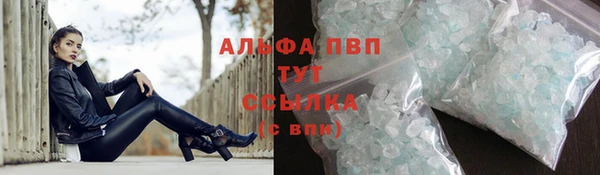 винт Богданович