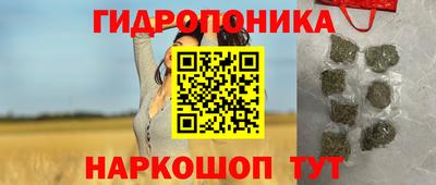 гидра Гусиноозёрск
