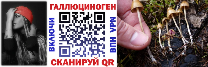 Галлюциногенные грибы Psilocybine cubensis  наркота  KRAKEN tor  Джанкой 