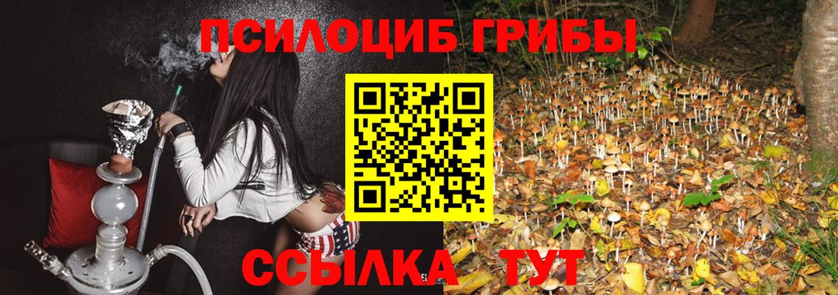 Псилоцибиновые грибы MAGIC MUSHROOMS Джанкой