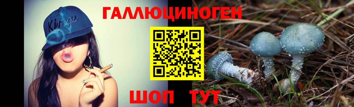 Джанкой  Галлюциногенные грибы мухоморы  Галлюциногенные грибы Psilocybine cubensis  Вход с VPN 