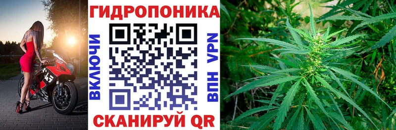 купить наркотик  Джанкой  Шишки марихуана OG Kush 